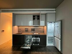 Cuscaden Reserve (D10), Condominium #560549701